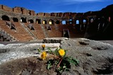 Il Sannio e la sua Terra